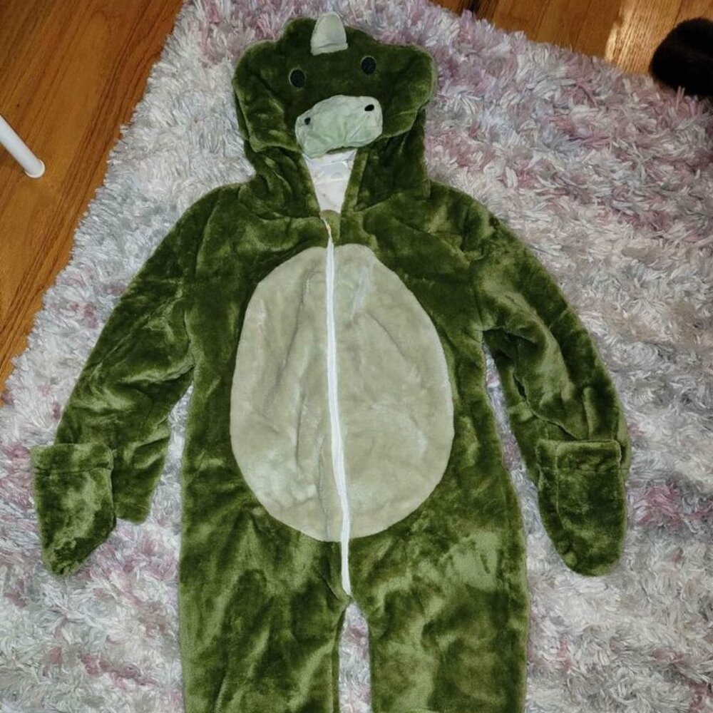 Coco Village Dino Costume size 3